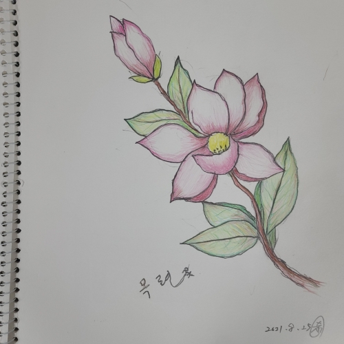 구병순님의 줌택트 미술작품 '목련꽃'